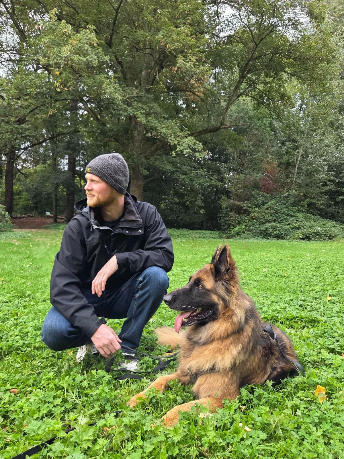 Balade éducative en extérieur avec plusieurs chiens